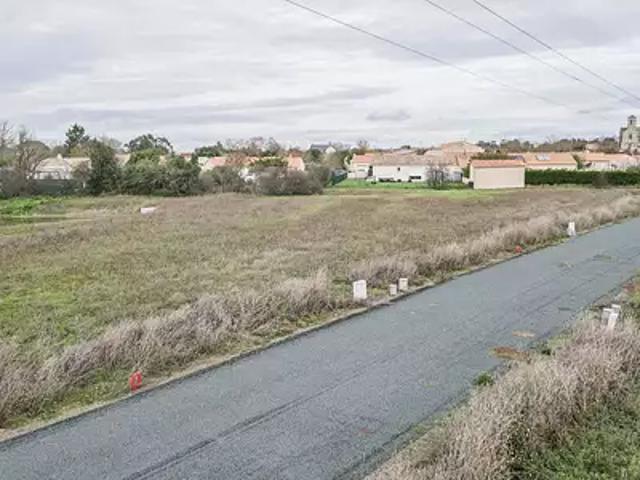 Terrain vente à Fontenay-le-Comte, Grues