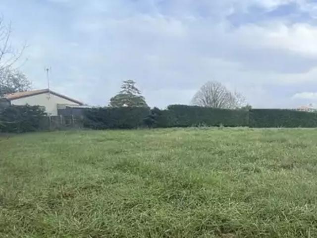 Terrain vente à Fontenay-le-Comte, Grues