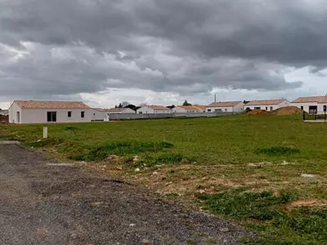 Terrain vente à Fontenay-le-Comte, Grues