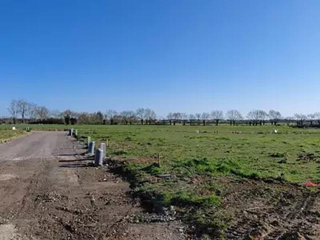 Terrain vente à Fontenay-le-Comte, Grues
