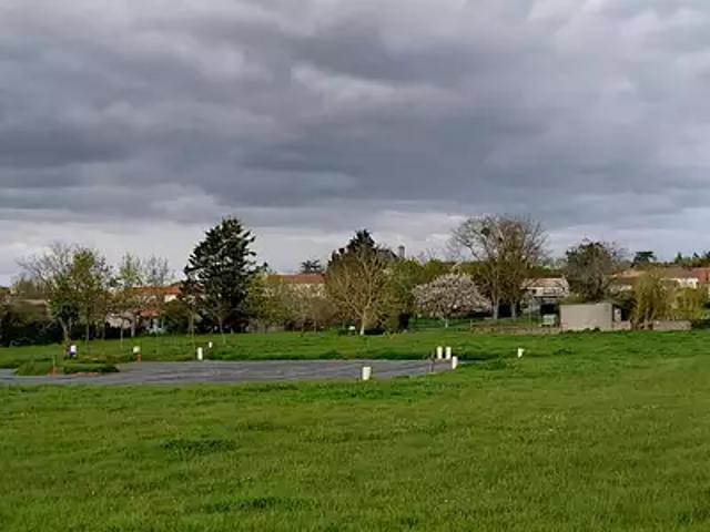 Terrain vente à Fontenay-le-Comte, Grues