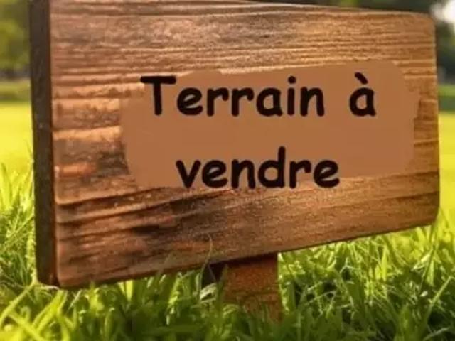 Terrain vente à Fontenay-le-Comte, Grues