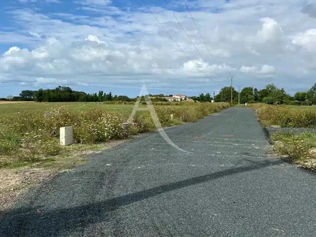 Terrain vente à Fontenay-le-Comte, Grues