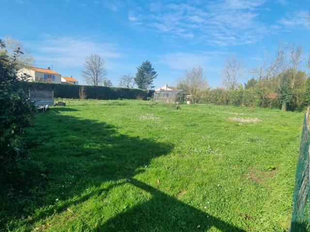 Terrain vente à Fontenay-le-Comte, Grues