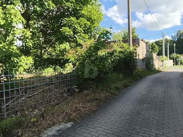 Erdgeschosswohnung mieten in Sachsen