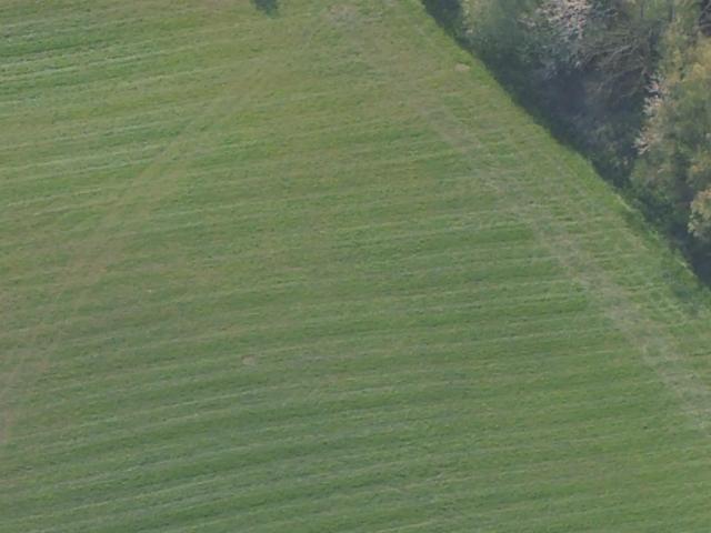 Erhvervsejendom til leje i Græsted, Brøndby