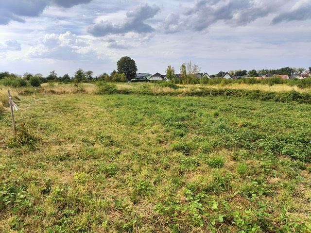 Erdgeschosswohnung mieten in Sankt Sebastian, Rheinland-Pfalz