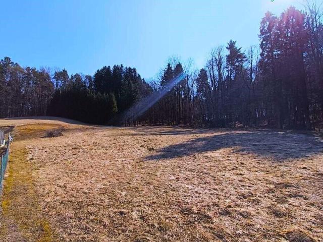 Grundstück kaufen in Hausmannstätten, Steiermark