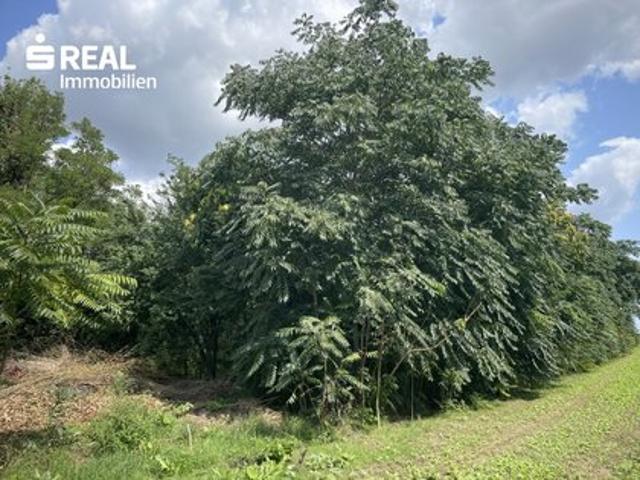 Grundstück kaufen in Nickelsdorf, Burgenland