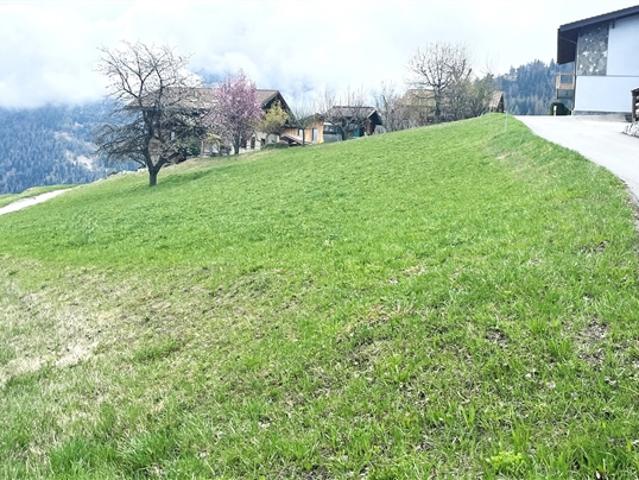 Grundstück kaufen in Baar, Nendaz, Wallis