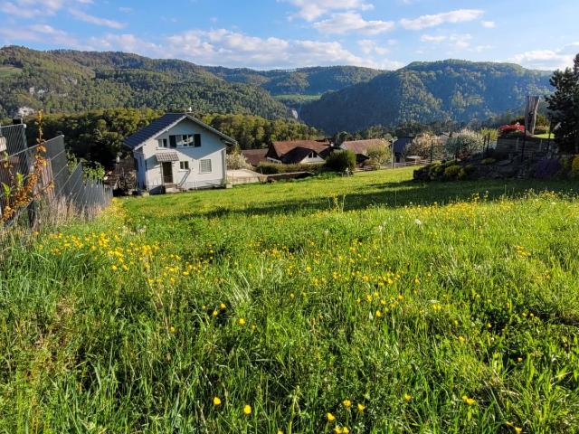 Grundstück kaufen in Liesberg, Basel-Landschaft