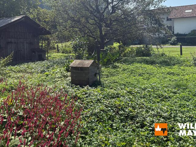 Grundstück kaufen in Hohenems, Vorarlberg