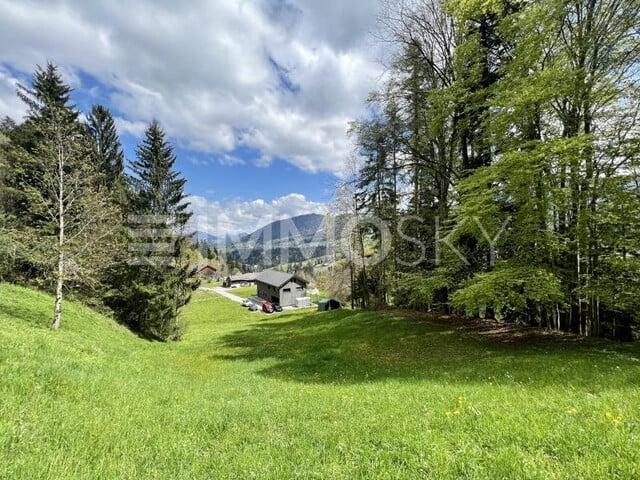 Grundstück kaufen in Alberschwende, Vorarlberg