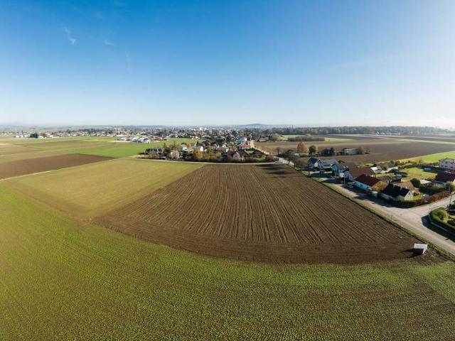 Grundstück kaufen in Mattersburg, Burgenland