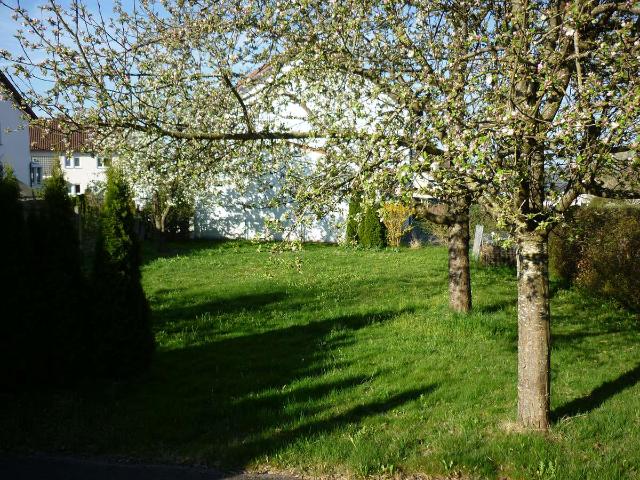 Erdgeschosswohnung kaufen in Ummendorf, Landkreis Biberach