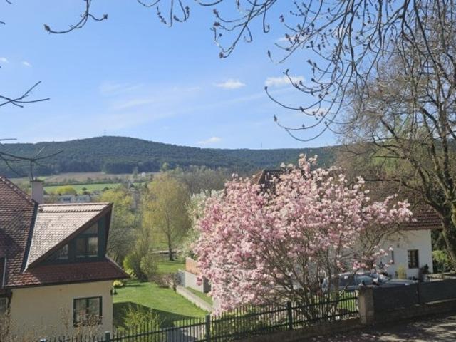 Grundstück kaufen in Markt Piesting, Niederösterreich