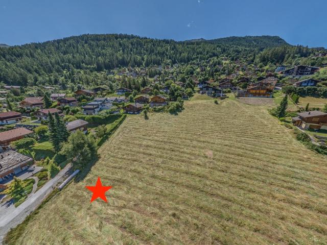 Immobilie kaufen in Baar, Nendaz, Wallis
