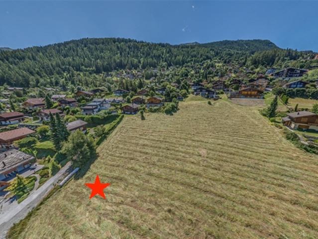 Grundstück kaufen in Baar, Nendaz, Wallis