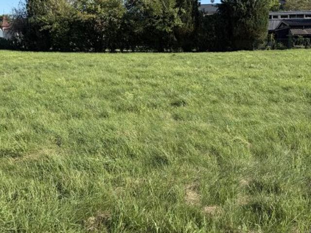 Grundstück kaufen in Mattighofen, Bezirk Braunau