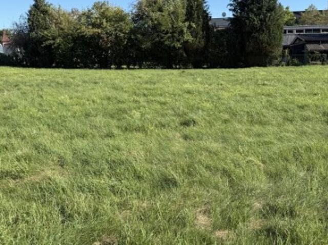 Grundstück kaufen in Mattighofen, Bezirk Braunau
