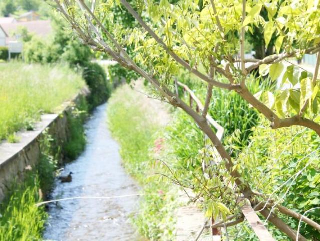 Grundstück kaufen in Mariasdorf, Burgenland