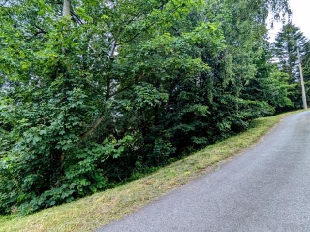 Erdgeschosswohnung kaufen in Bad Gottleuba-Berggießhübel, Sachsen