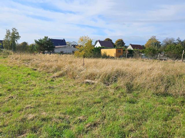 Landwirtschaft kaufen in Brandenburg