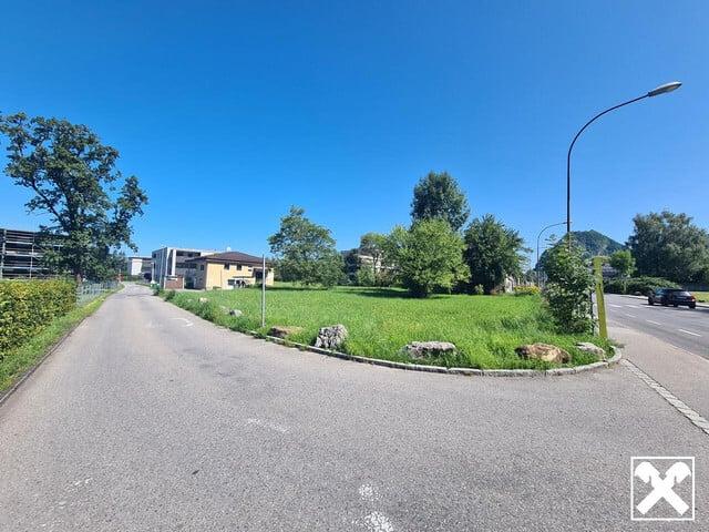 Grundstück kaufen in Hohenems, Bezirk Dornbirn