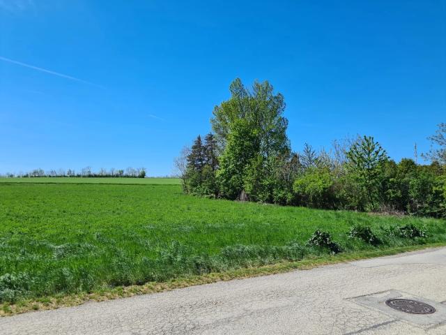 Grundstück kaufen in Steinbrunn, Burgenland
