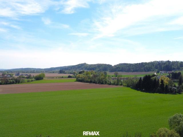 Grundstück kaufen in Großsteinbach, Steiermark