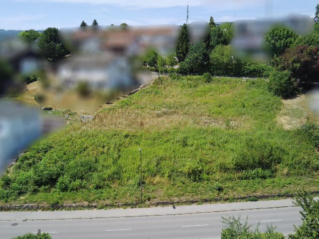 Landwirtschaft kaufen in Rotzel, Laufenburg