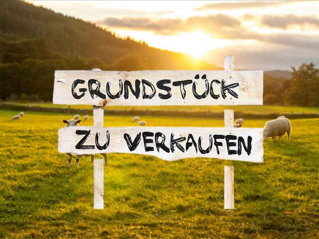 Erdgeschosswohnung kaufen in Nußloch, Rhein-Neckar-Kreis