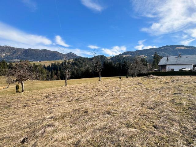 Grundstück kaufen in Rigaus, Abtenau