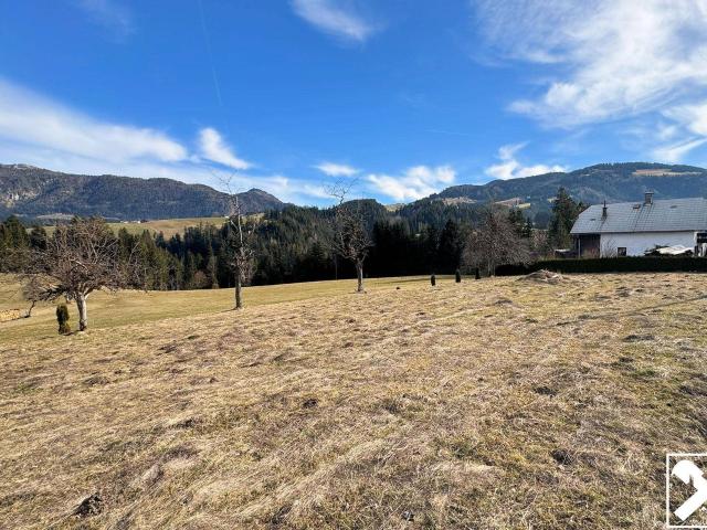 Immobilie kaufen in Abtenau, Salzburg