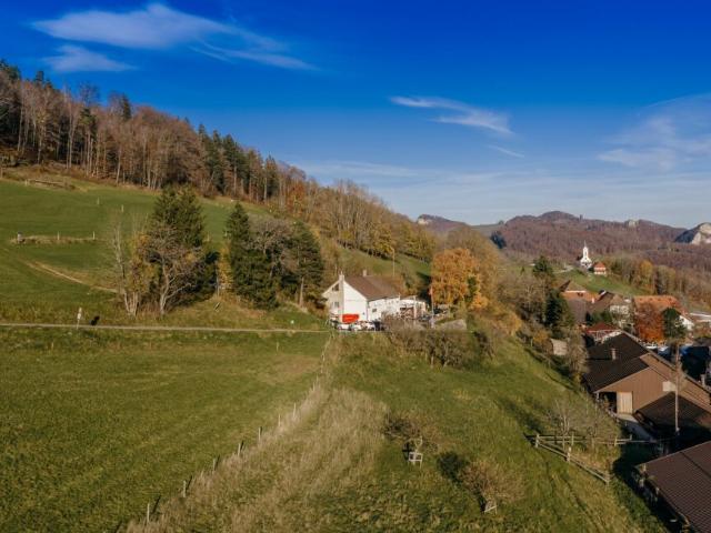 Grundstück kaufen in Hauenstein-Ifenthal, Solothurn