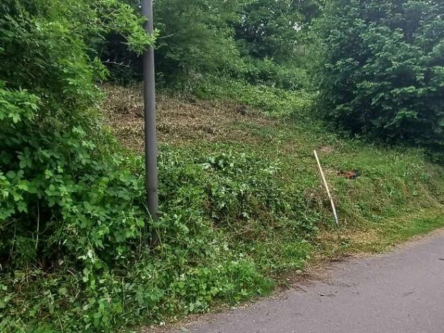 Erdgeschosswohnung kaufen in Saarburg, Landkreis Trier-Saarburg
