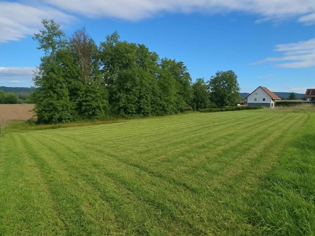 Grundstück kaufen in Kaindorf an der Sulm