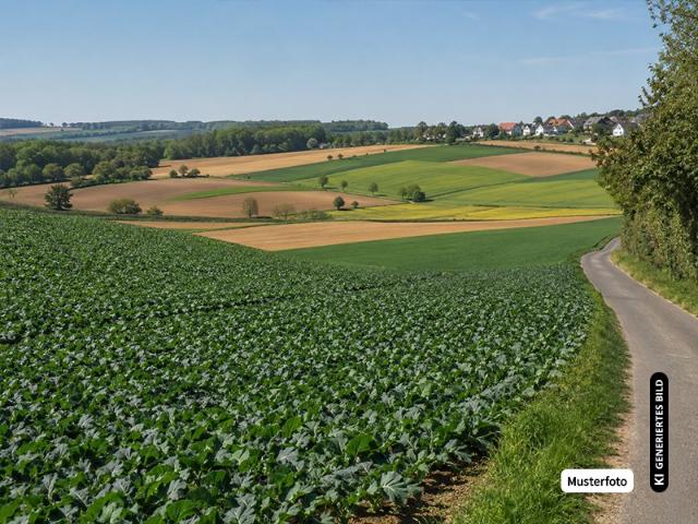 Landwirtschaft kaufen in Altwest, Leipzig