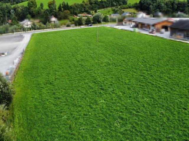 Immobilie kaufen in Ketten, Aigen im Ennstal