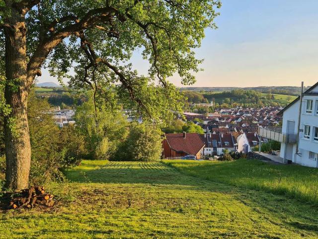 Erdgeschosswohnung kaufen in Reichenbach, Vogtlandkreis