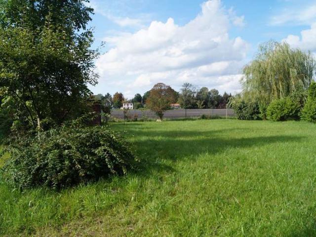 Landwirtschaft kaufen in Nächst Neuendorf, Zossen