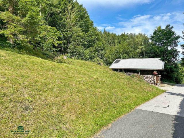 Immobilie kaufen in Steinbach, Fuschl am See