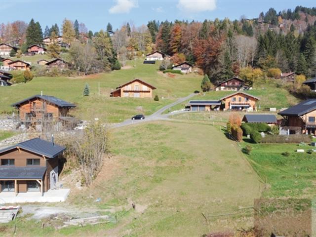 Grundstück kaufen in Gryon, Waadt