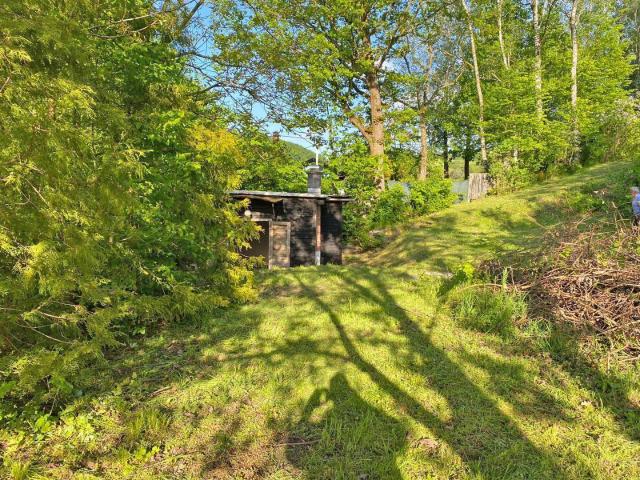 Immobilie kaufen in Außertreffling, Engerwitzdorf