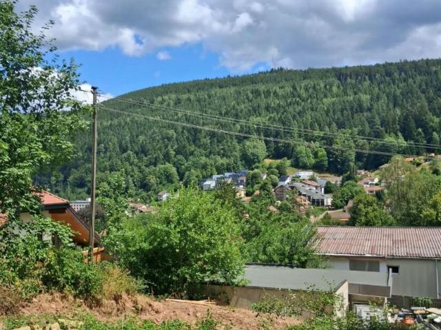 Landwirtschaft kaufen in Südlicher Lautenhof, Bad Wildbad