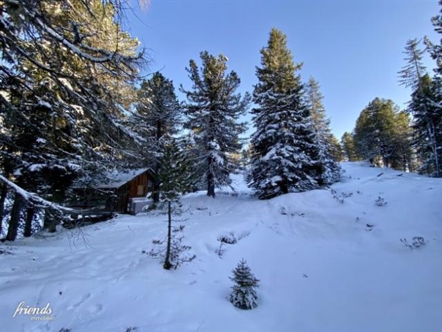 Grundstück kaufen in Reichenau, Kärnten