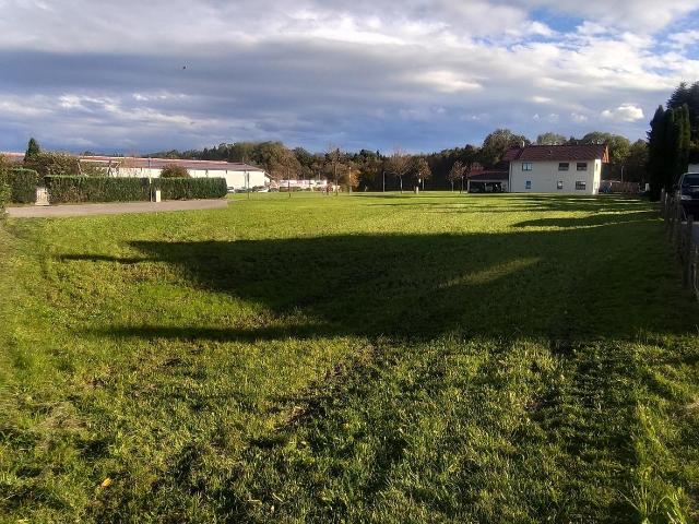 Landwirtschaft kaufen in Lohholz, Bayern