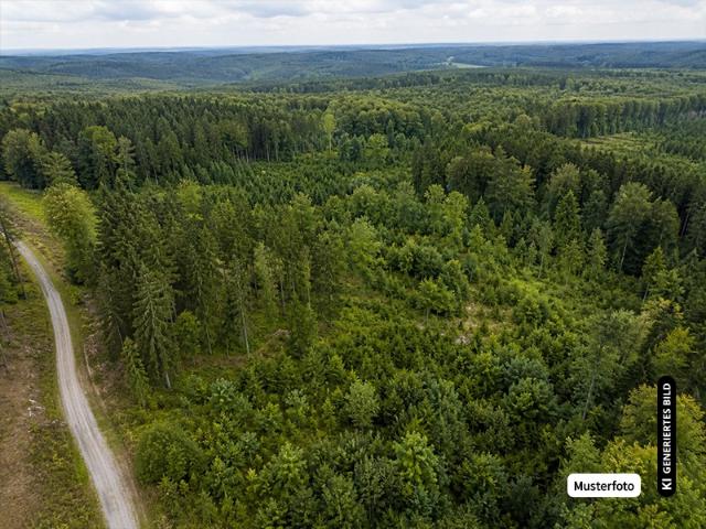 Landwirtschaft kaufen in Mönchsambach, Burgebrach