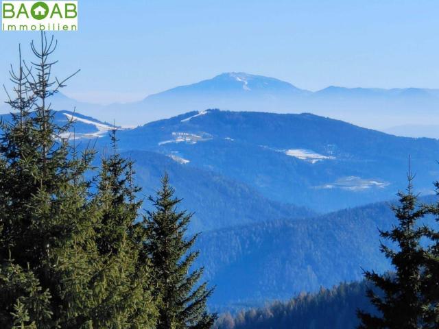 Immobilie kaufen in Hochrindl, Albeck