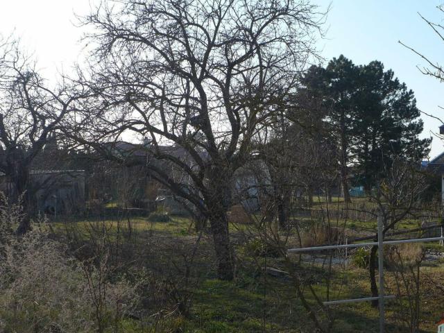 Grundstück kaufen in Pottendorf, Niederösterreich